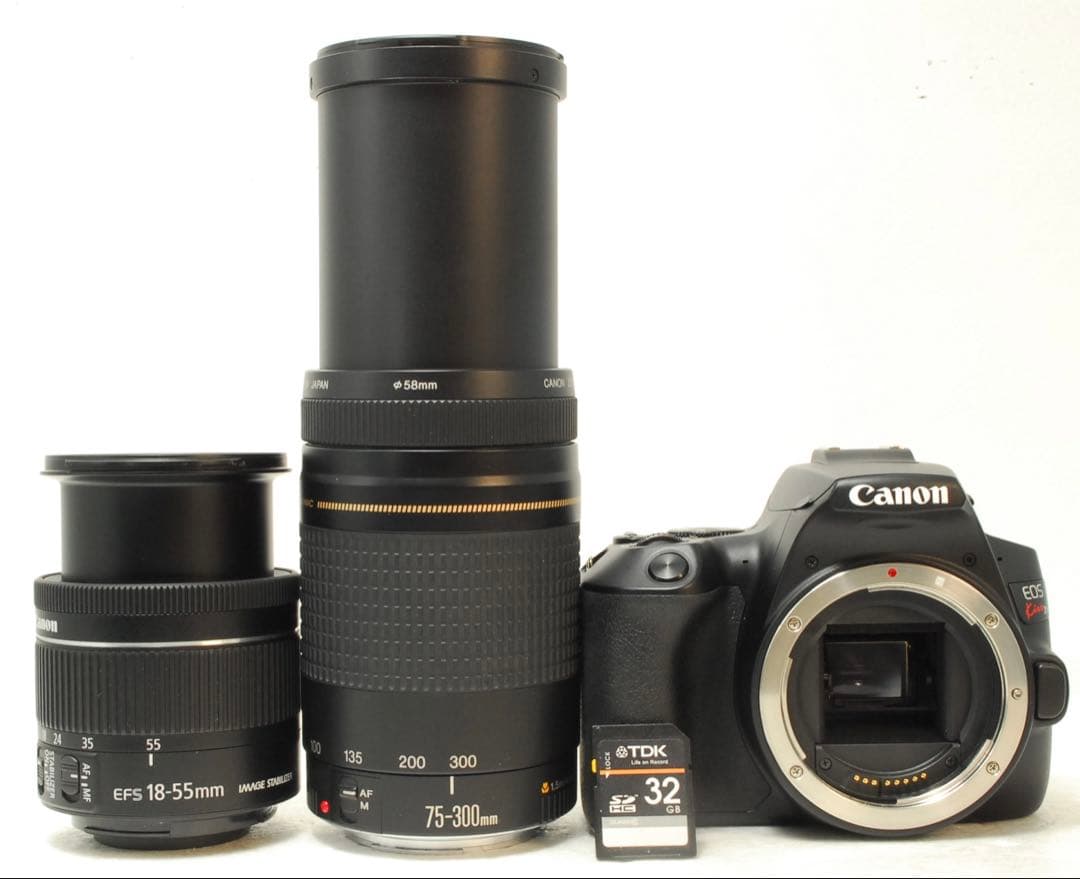 Canon EOS Kiss X10 ❤️超望遠300mm ダブルレンズ キヤノン