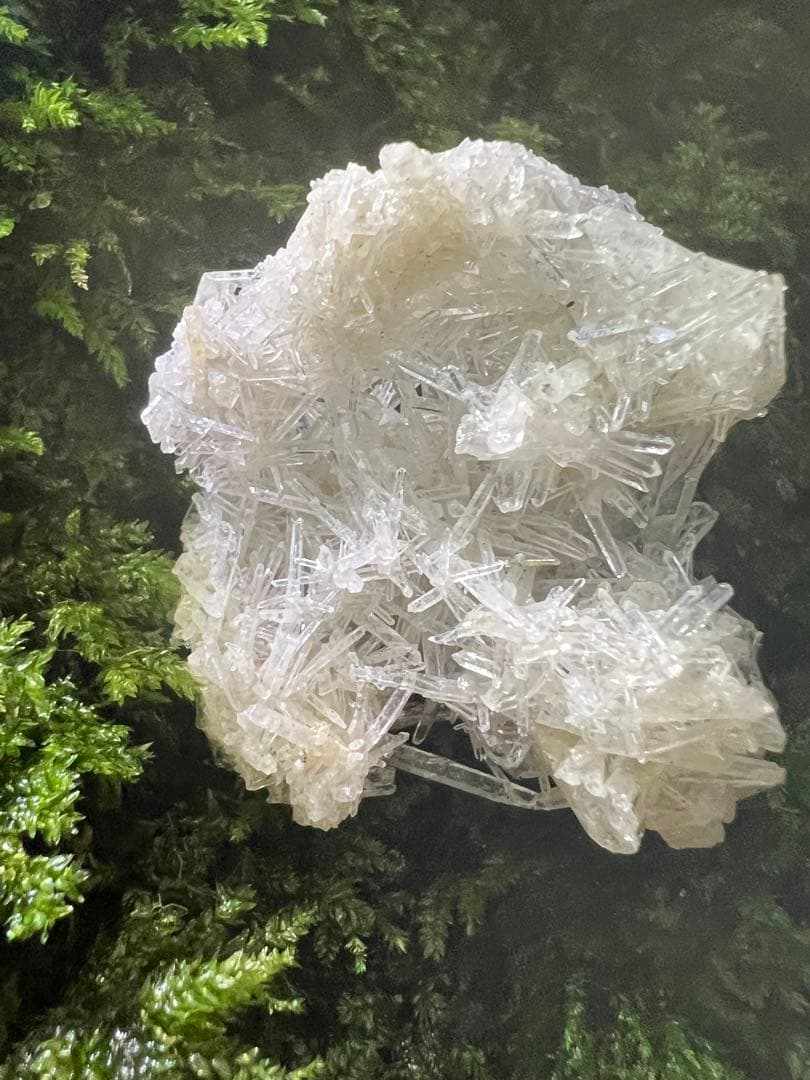 龍脈の精髄 ⭐︎国産クラスター ⭐︎ 「聖域を生む結晶の調和」