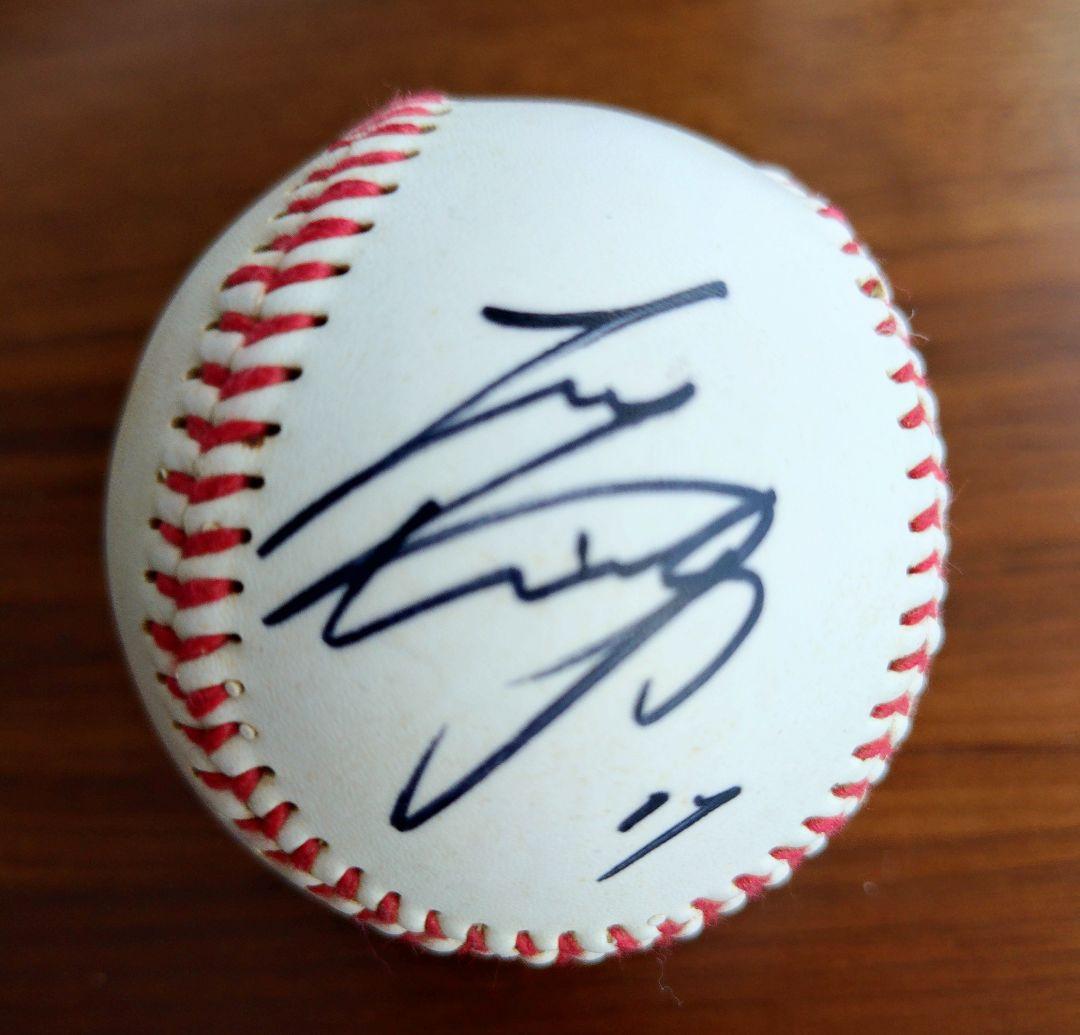 サインボール まとめ25個 オリックスバッファローズ 北海道日本ハムファイターズ