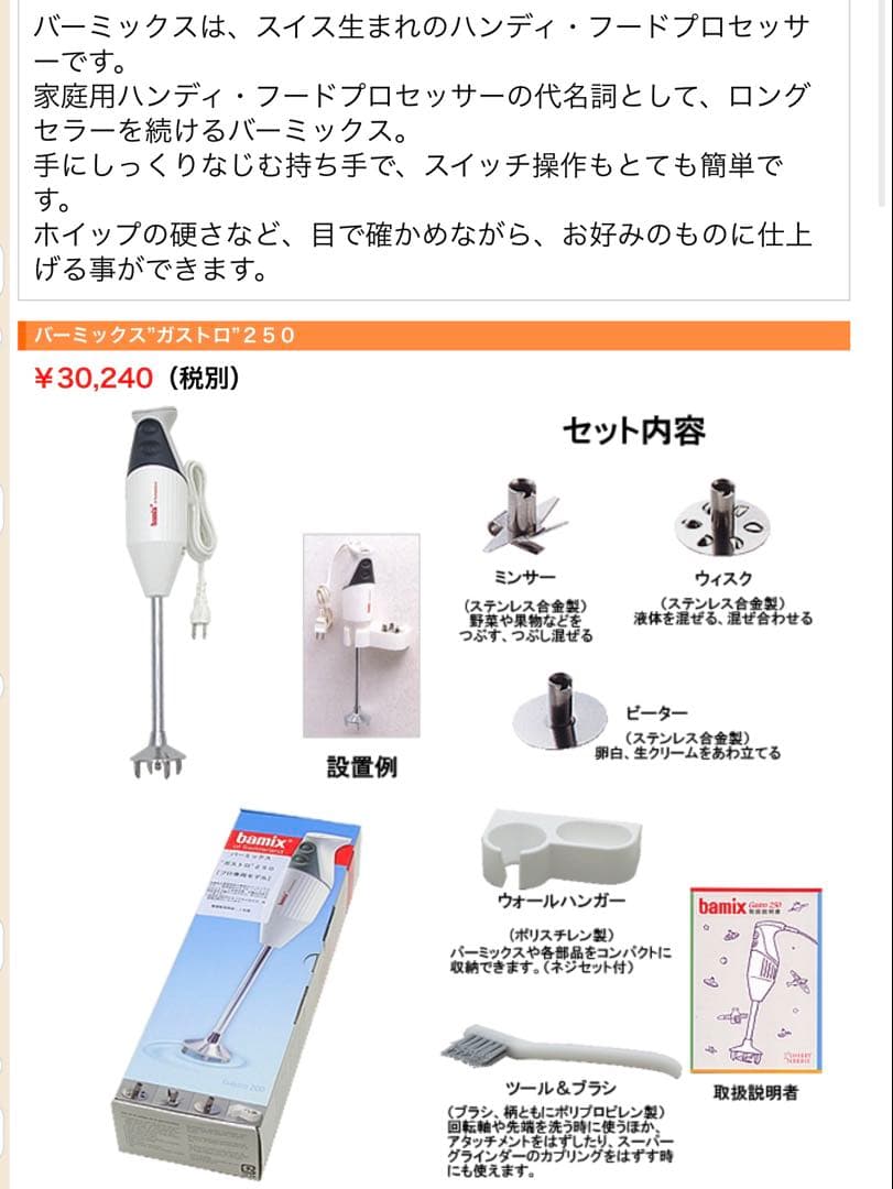 bamix バーミックス ガストロ250 プロ専用モデル