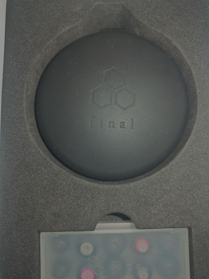 final A3000 有線イヤホン マットブラック