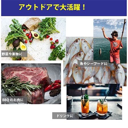 新品　冷蔵庫　持ち運び　車載　車　キャンプ　釣り