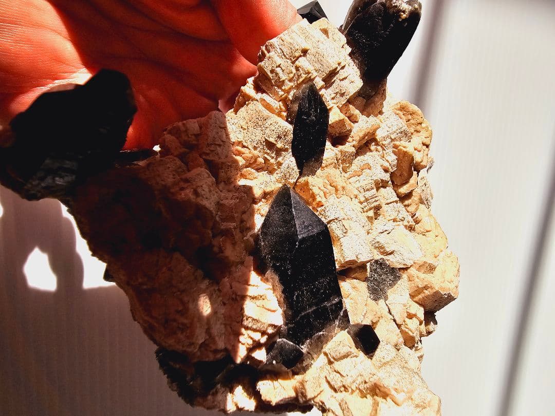 約750gあり★チベット産 モリオン(黒水晶)クラスター