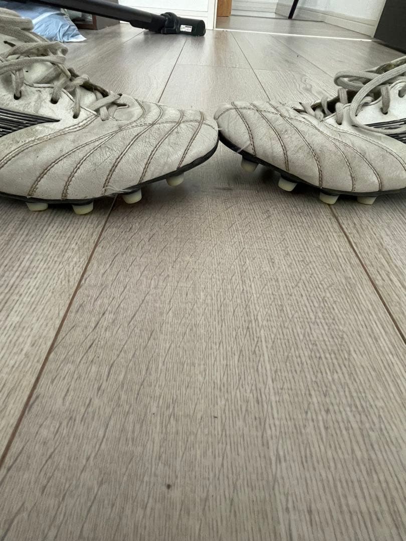 モレリアネオ4 白