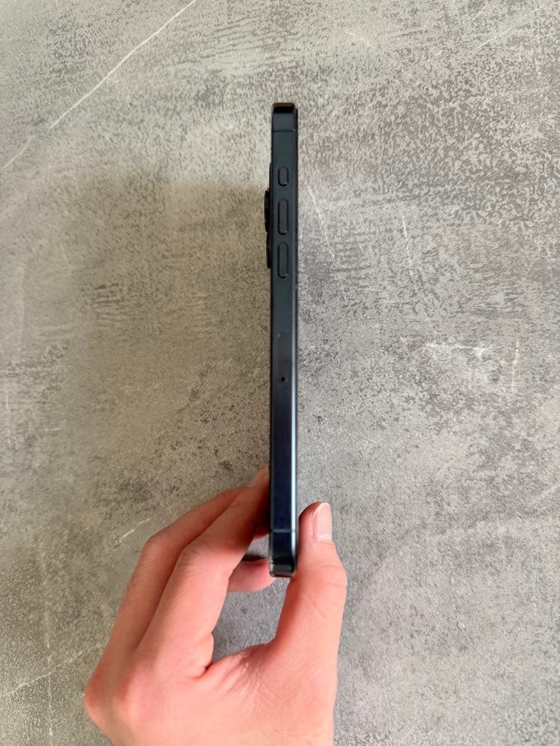 Apple iPhone 15 pro max ケース2種類付き