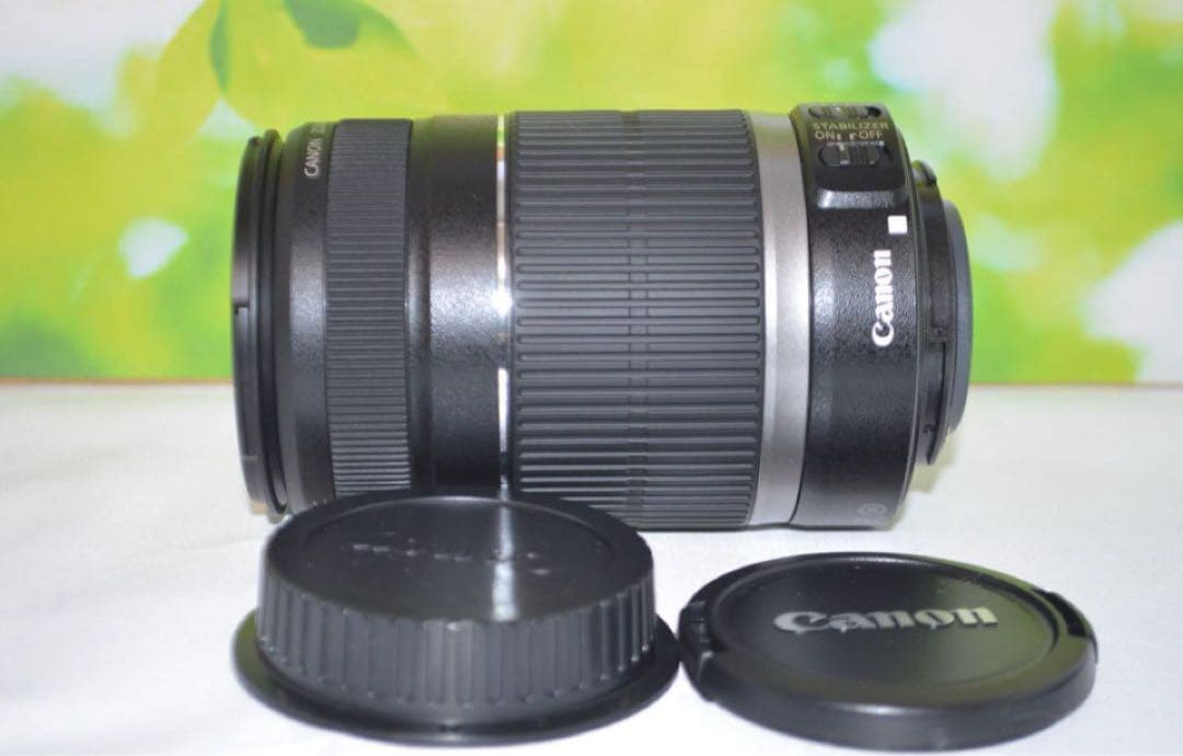 美品　キャノン Canon EF-S 55-250mm IS☆お手軽望遠
