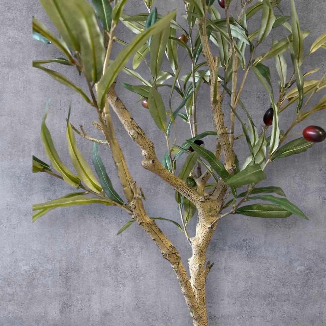 【超リアルなオリーブの木】実つきフェイクグリーンで叶える憧れのオリーブライフ