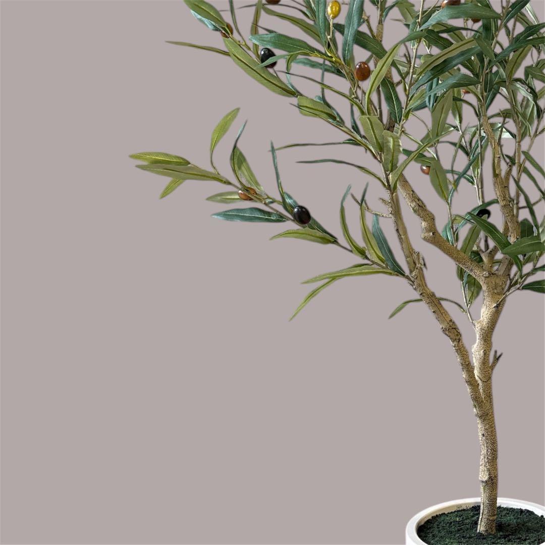 【超リアルなオリーブの木】実つきフェイクグリーンで叶える憧れのオリーブライフ