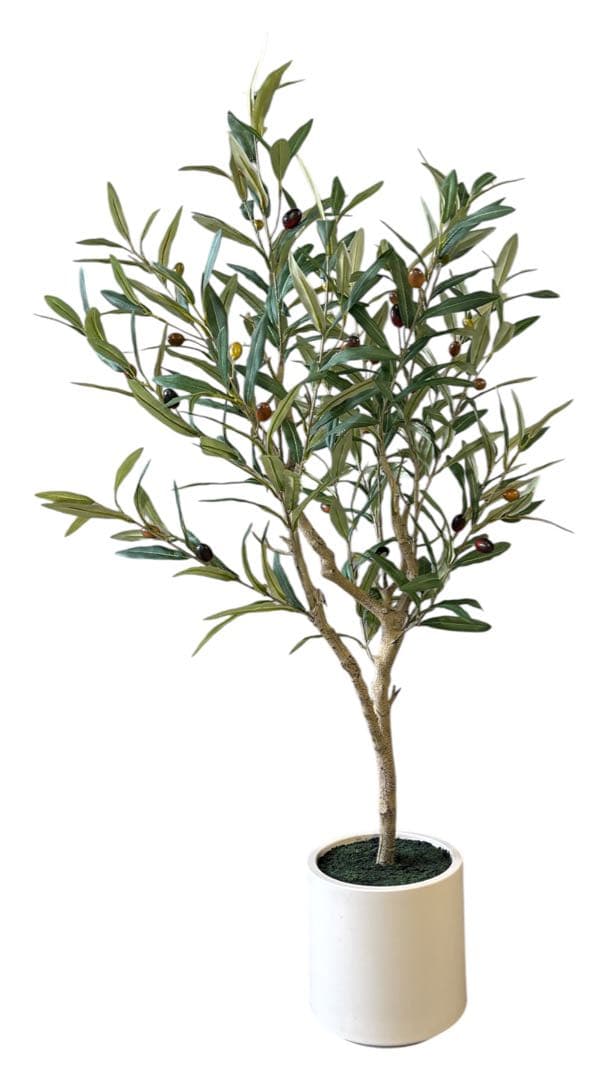 【超リアルなオリーブの木】実つきフェイクグリーンで叶える憧れのオリーブライフ