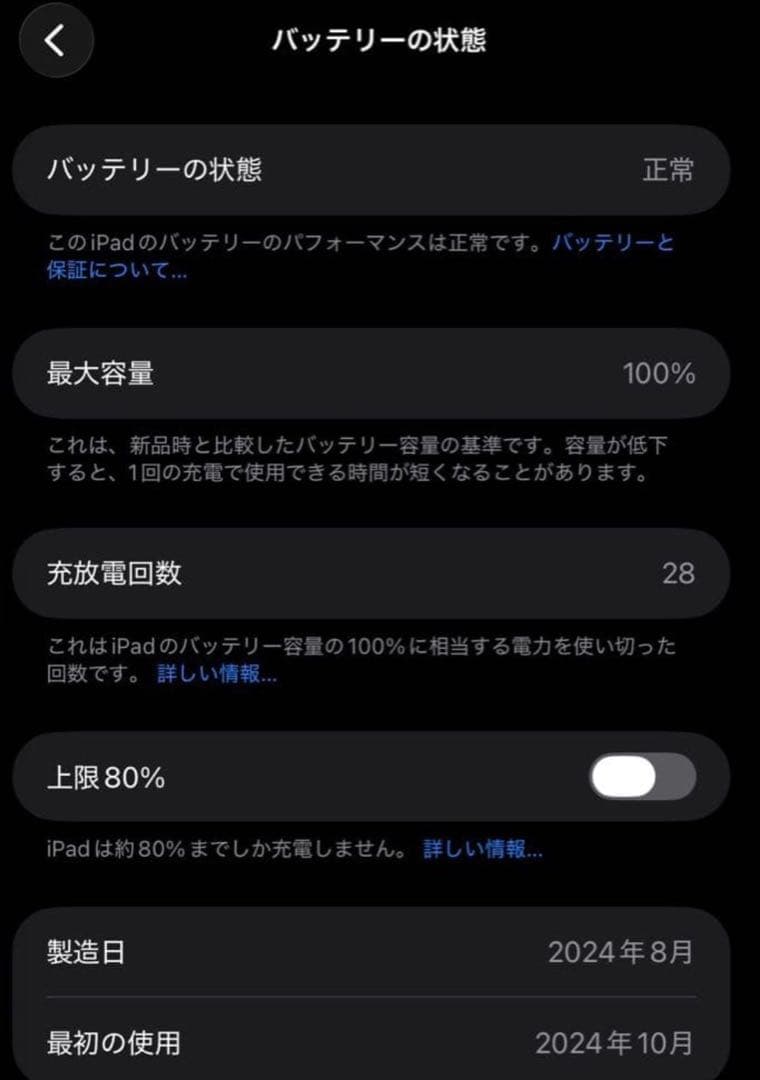 ipad mini 第7世代＋apple pencil pro 等