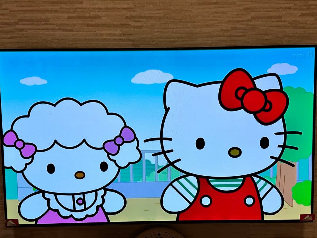 【値引き　初期化済】LG OLED55B9PJA 55V型 4K有機ELテレビ