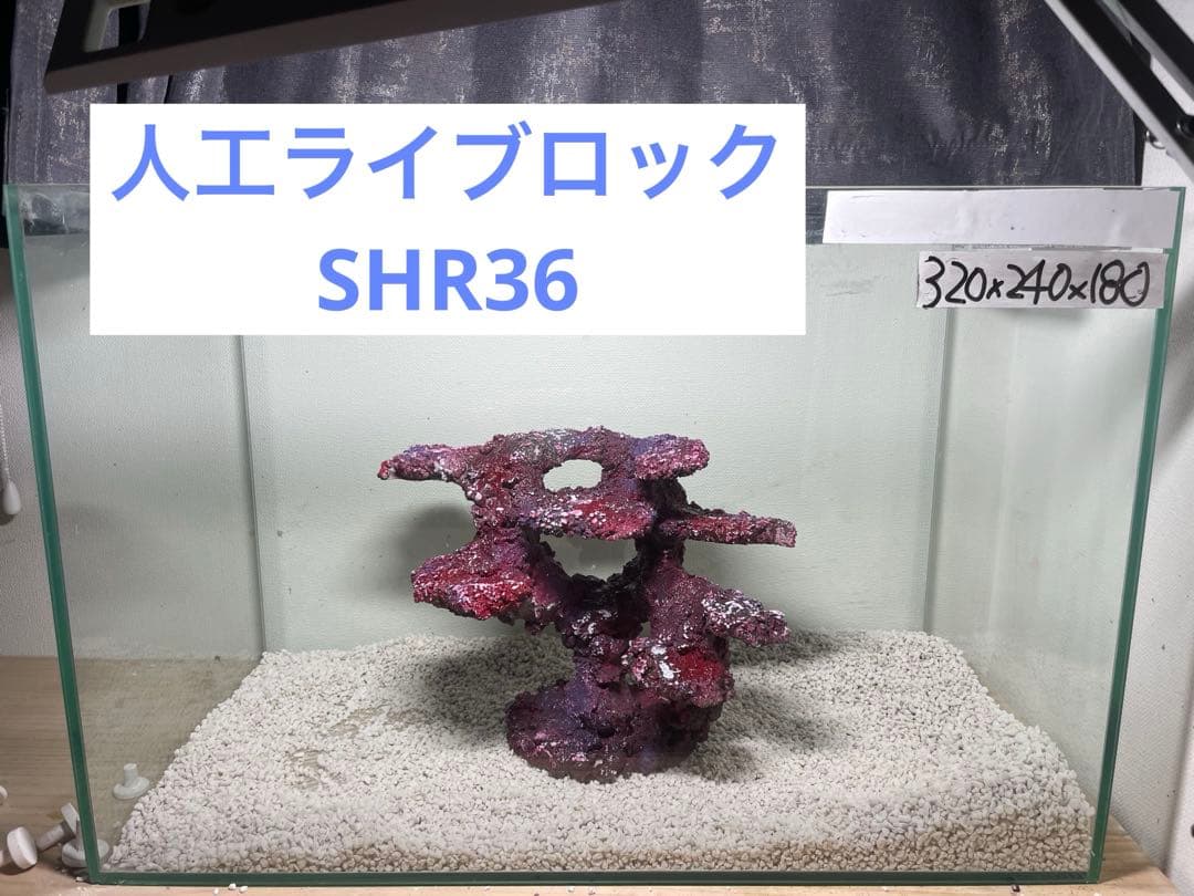 人工ライブロック　SHR36 アク抜き済み安心塗料使用