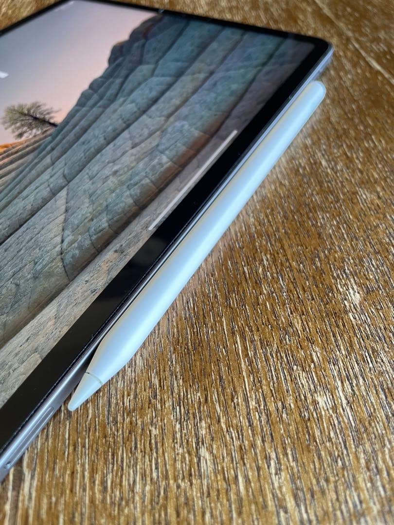 【iPadPro11】（第4世代）Wi-Fi + Cellular 256GB