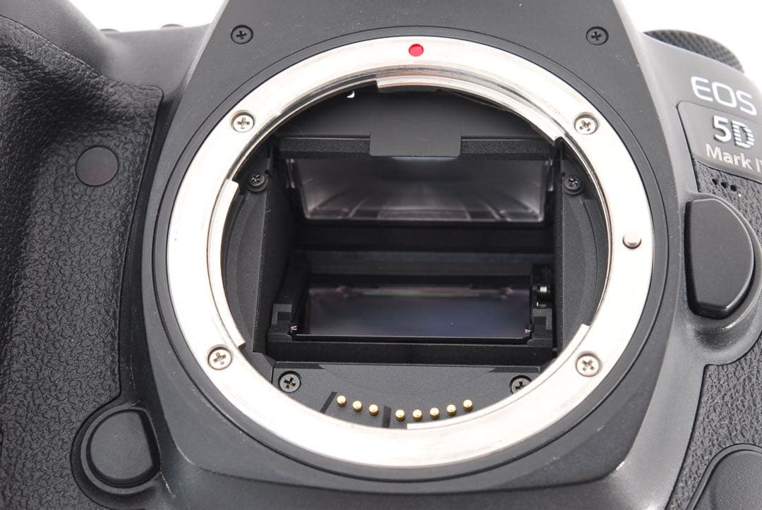 保証付き　Canon EOS 5D Mark IV標準&望遠&単焦点レンズセット