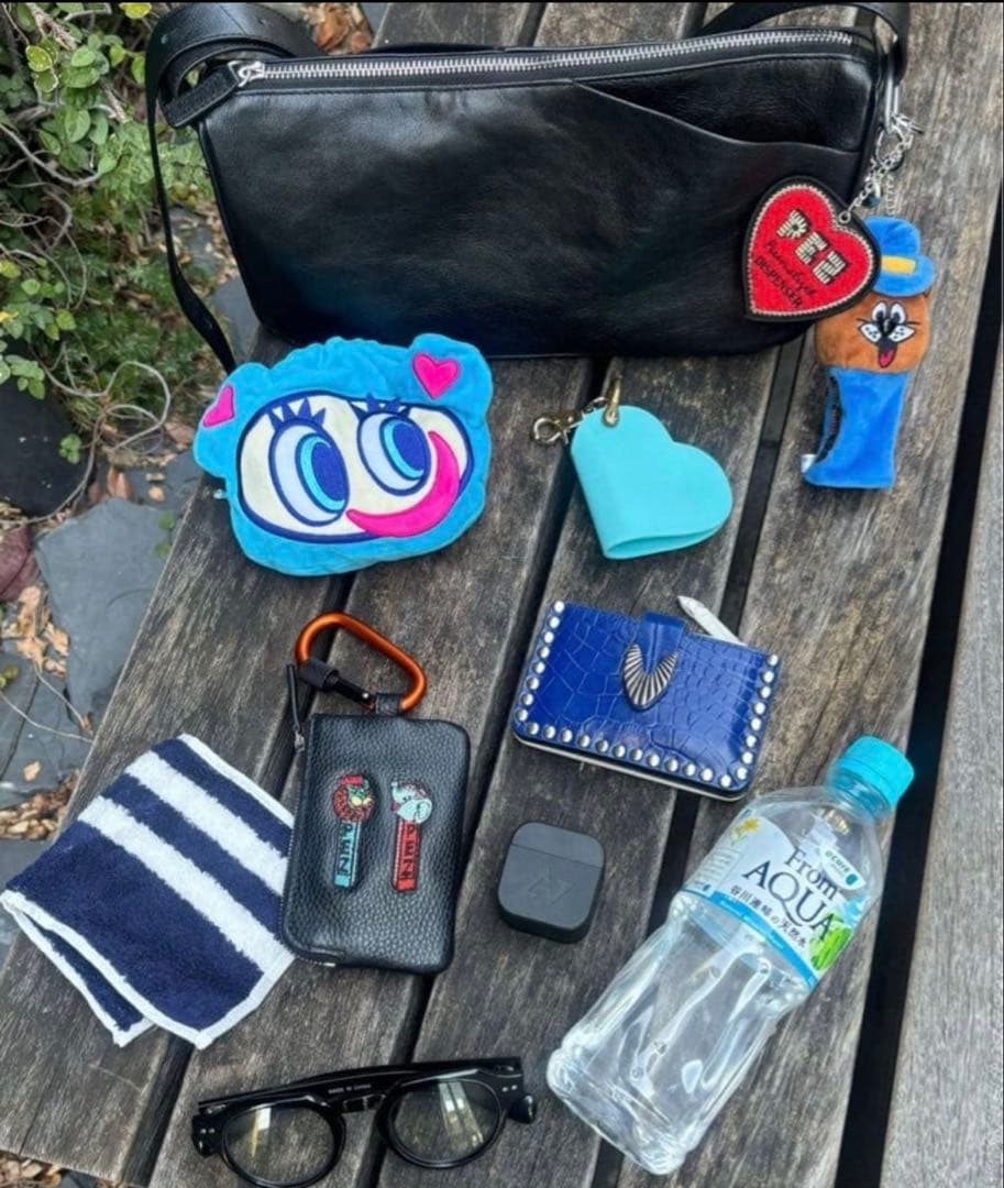 ear PAPILLONNER ミニスワローマチショルダーバッグ　本革 レザー