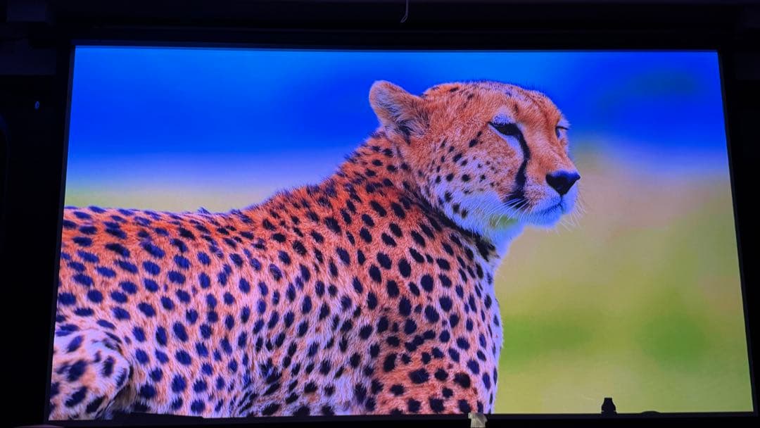 poji nega専用 REGZA RLC-V7R MAX プロジェクター本体