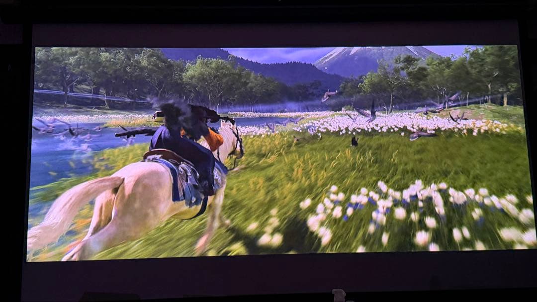 poji nega専用 REGZA RLC-V7R MAX プロジェクター本体