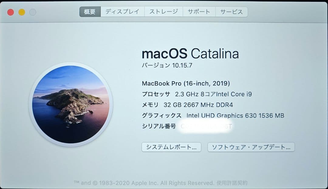 MacBook本体 MacBook Pro 16 2019 i9/32GB/1TB/5500M/US