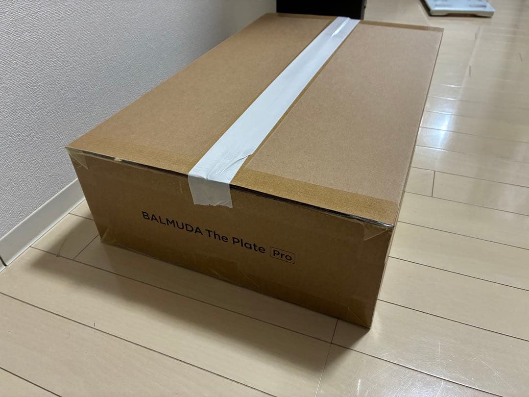 バルミューダプレート