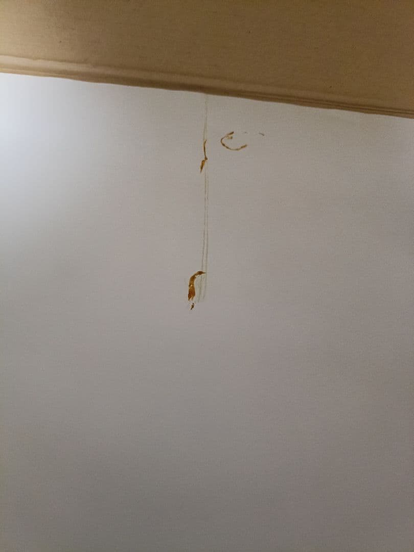 ゼルダの伝説　ポスター　6枚セット