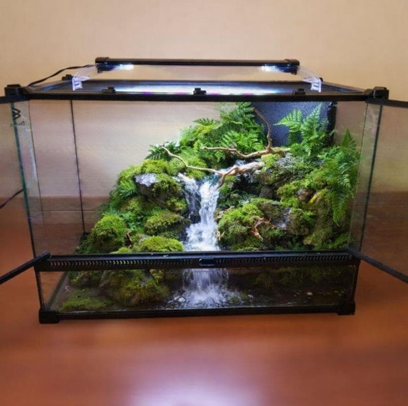 【受注生産】滝のあるアクアテラリウム　イモリウム　苔テラリウム　アクアテラリウム