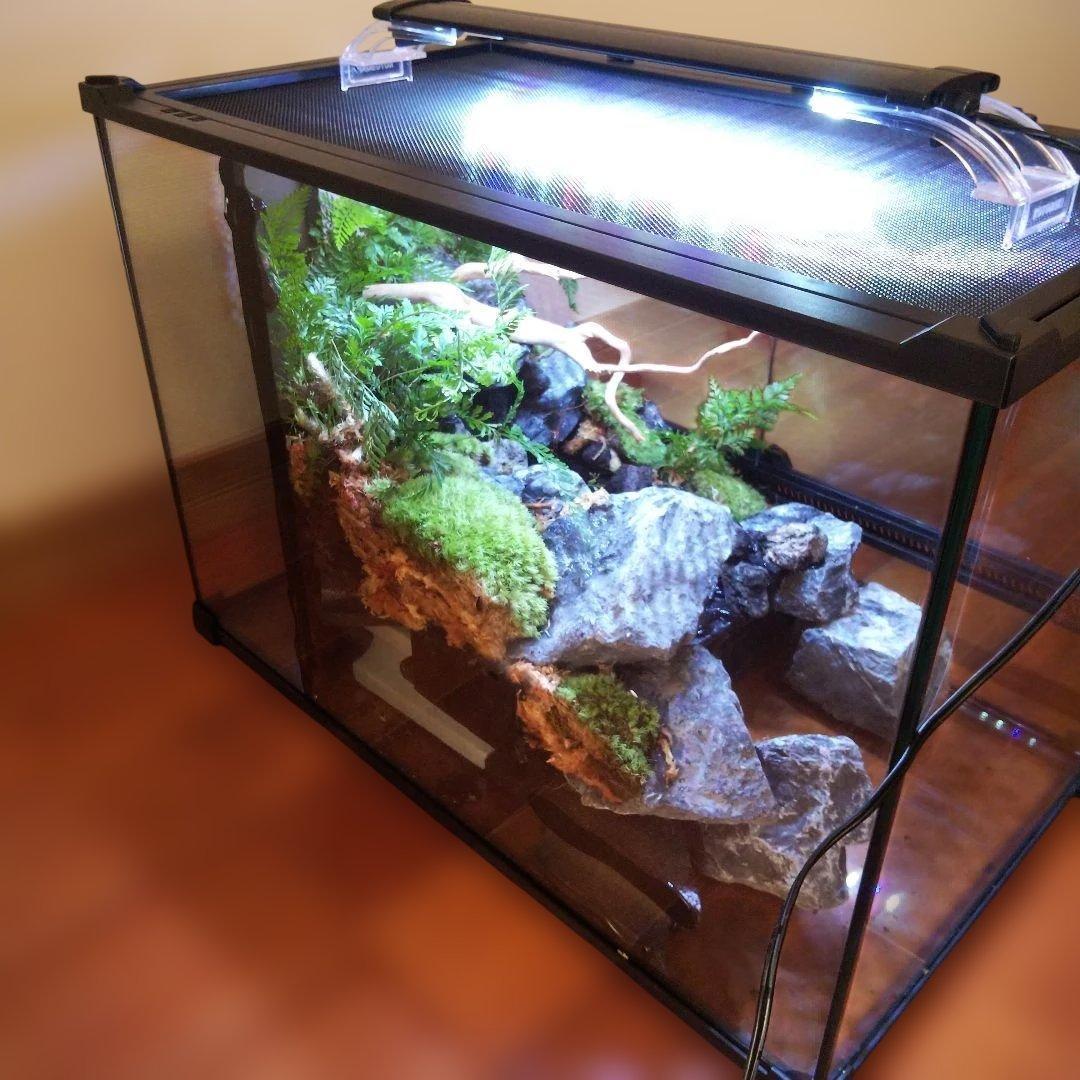 【受注生産】滝のあるアクアテラリウム　イモリウム　苔テラリウム　アクアテラリウム
