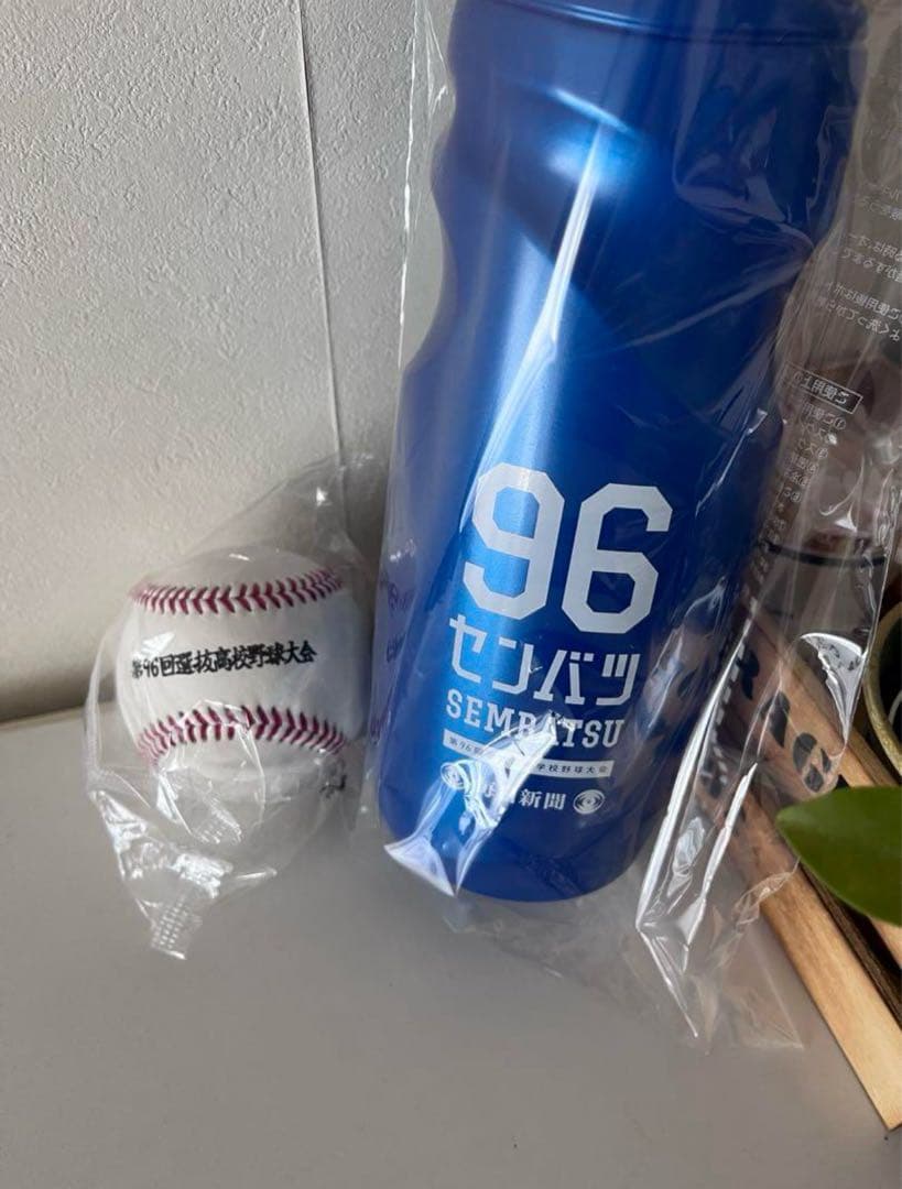 【新品非売品】阿南光高校旧公式戦ユニフォームセット98回センバツ高校野球大会出場