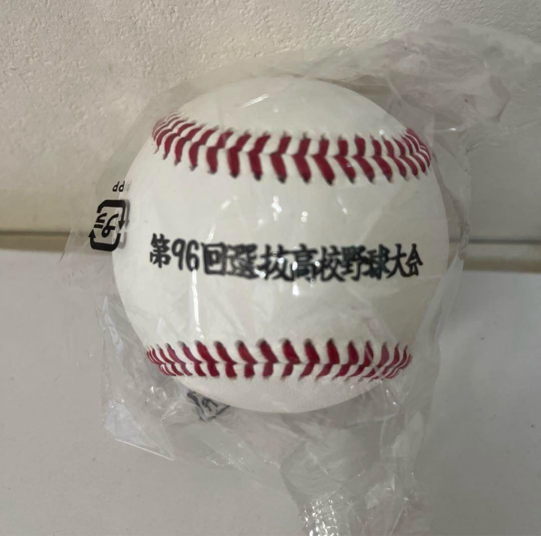 【新品非売品】阿南光高校旧公式戦ユニフォームセット98回センバツ高校野球大会出場