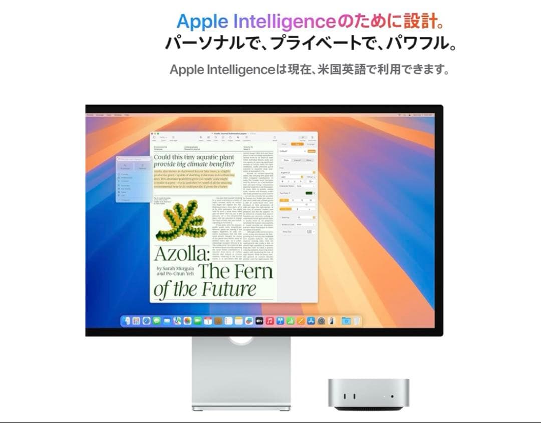 新品未開封　Mac mini 10 コア CPU M4 チップ搭載