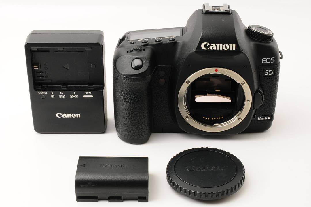 【美品】 キャノン Canon EOS 5D Mark II 2 ボディ