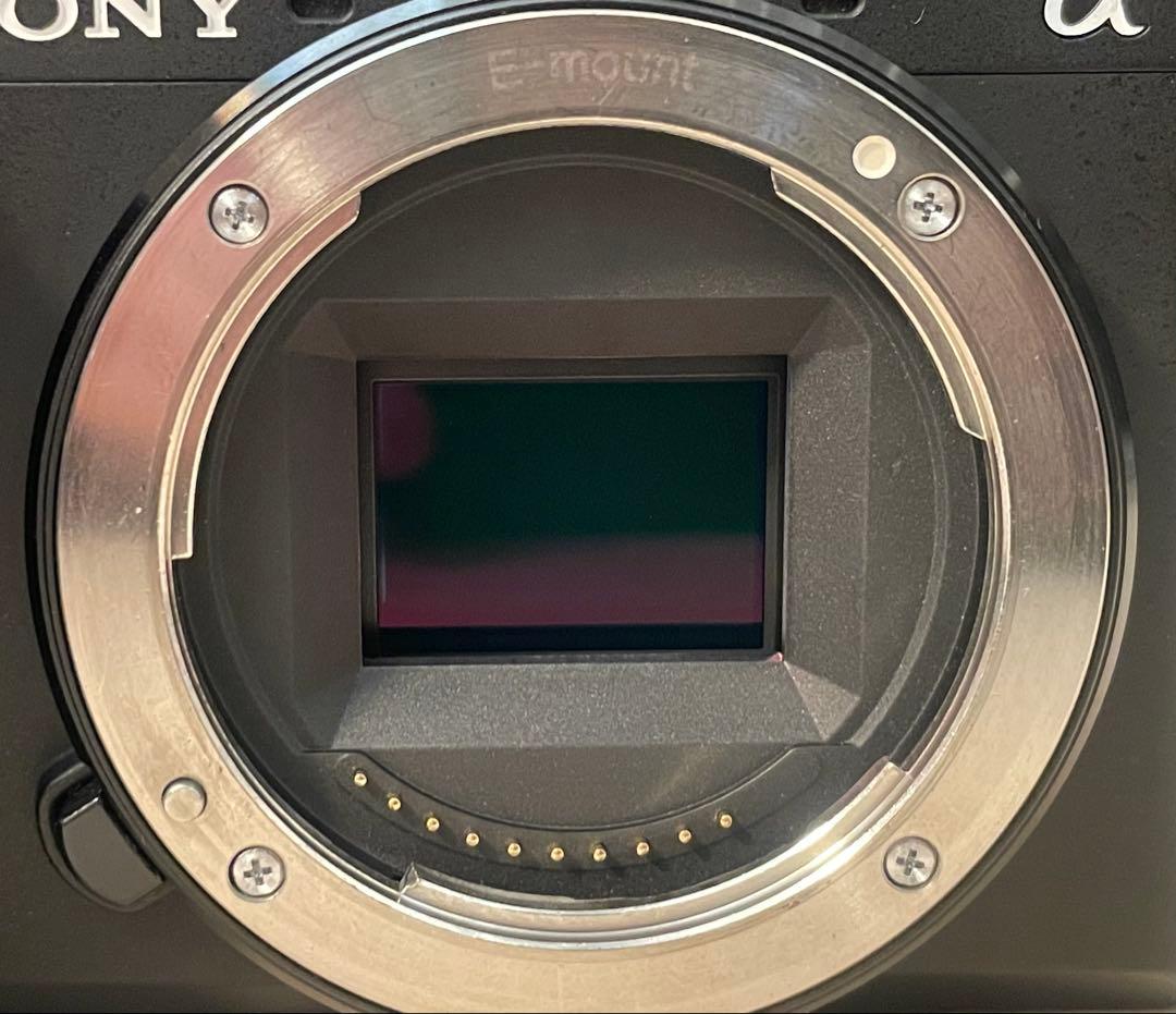 SONY aps-c ミラーレスカメラ α6600 ILCE-6600 ボディ