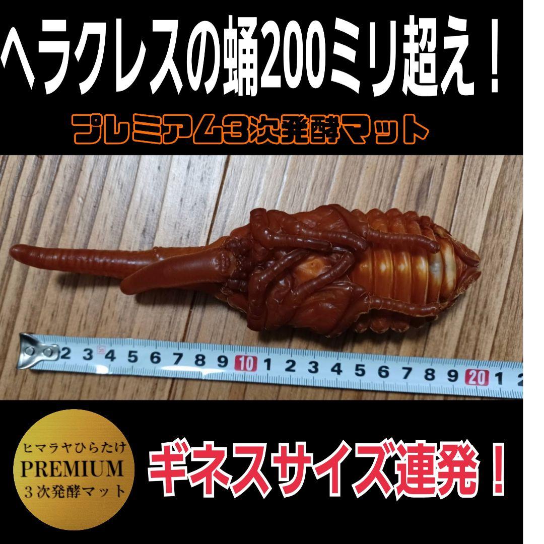 カブトムシ幼虫が巨大化！プレミアム3次発酵カブトムシマット【50L】産卵にも抜群