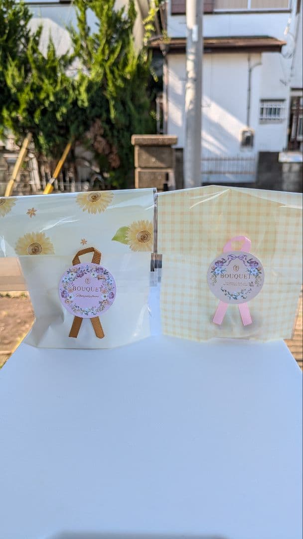 35☆薔薇と小華の舞姫姉妹❀✿☆．。．:*・゜