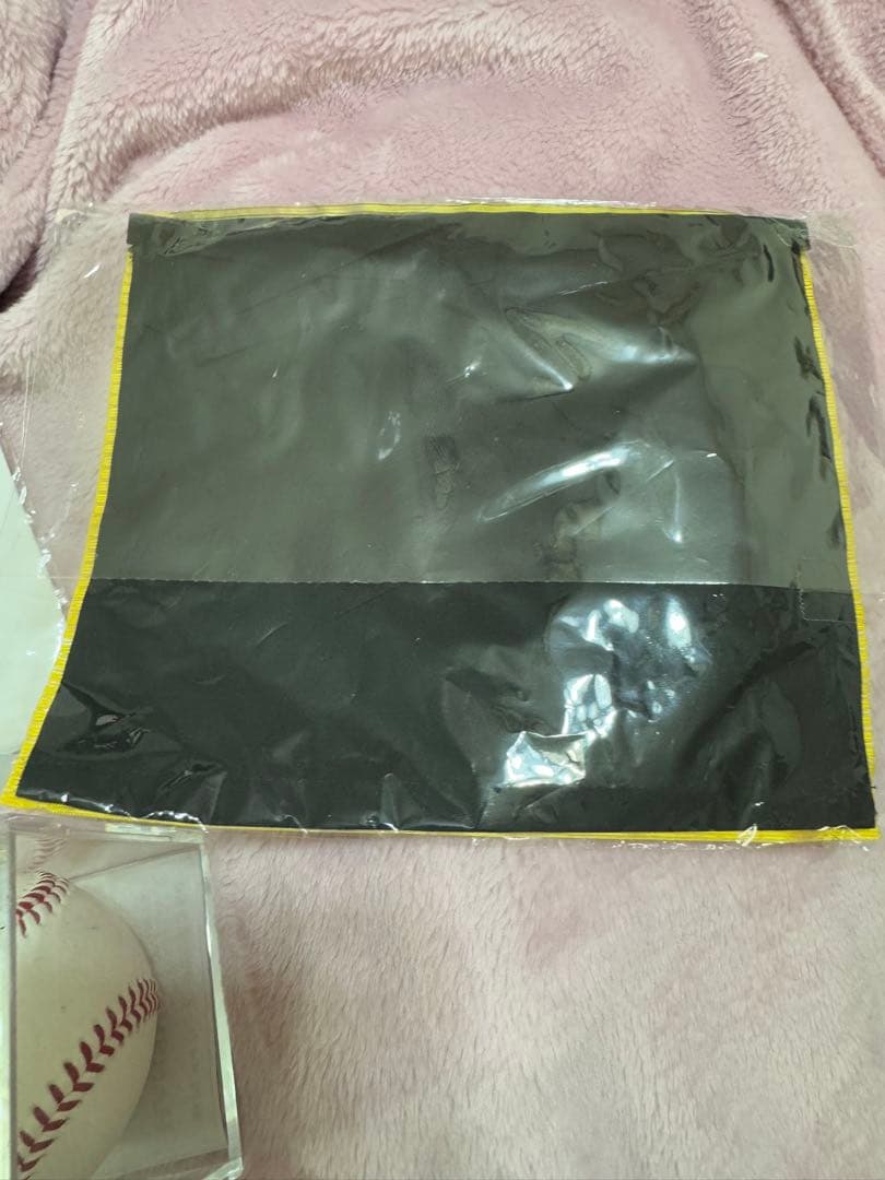 タイガース公式グッズセット