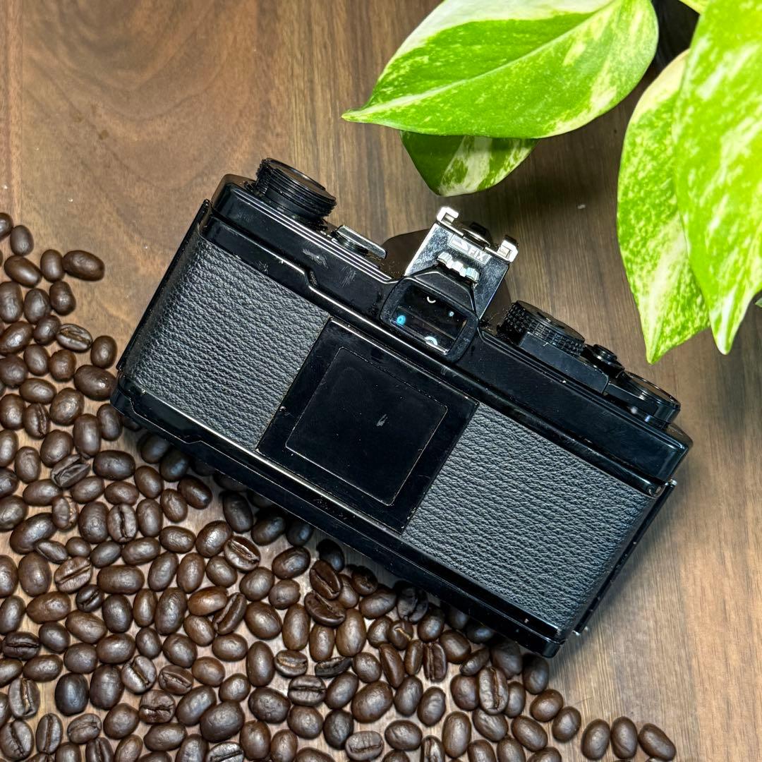 ✨本日のみ✨ブラックボディ美品✨実写・整備済✨OLYMPUS OM-1 完動品‼️