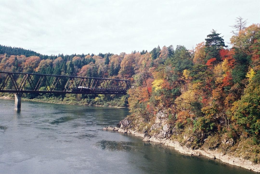 「実写確認整備品」イハゲーEXA／パンカラー50mmf2ゼブラ仕様L37付