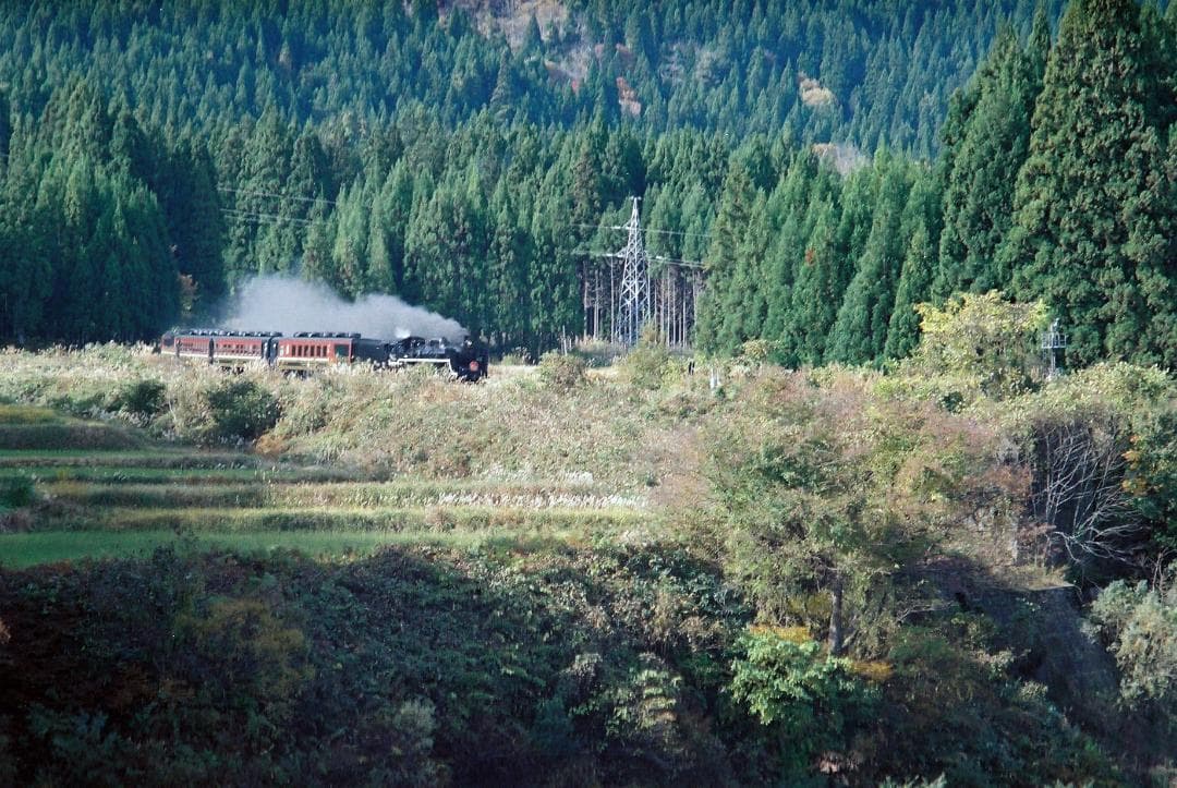 「実写確認整備品」イハゲーEXA／パンカラー50mmf2ゼブラ仕様L37付