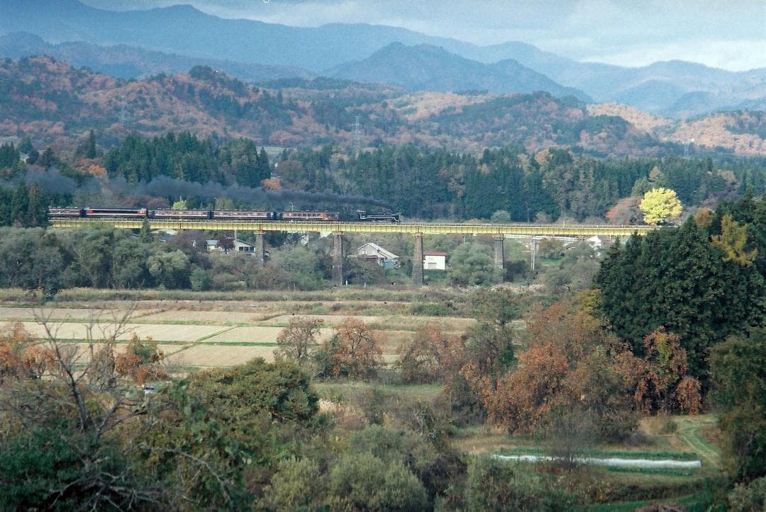 「実写確認整備品」イハゲーEXA／パンカラー50mmf2ゼブラ仕様L37付