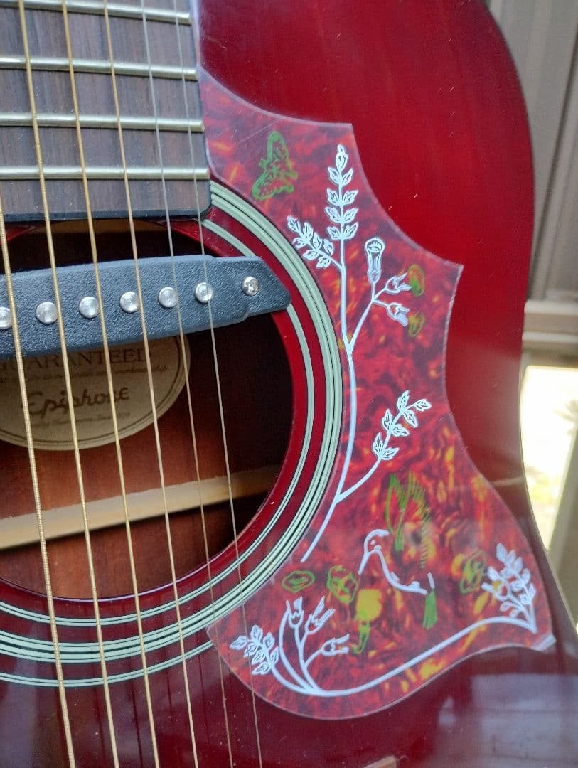 e*t様 超美品 Epiphone PRO-1 WR PU付きエレアコ