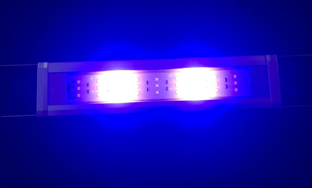 GEX GLASSTERIA MEGA POWER 600 水槽セット