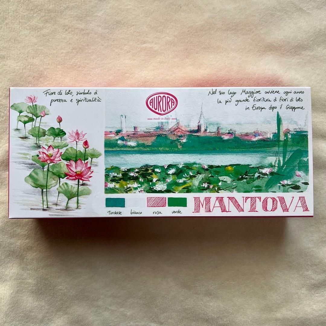 【新品未使用】アウロラ AURORA 万年筆 マントヴァ 字幅F