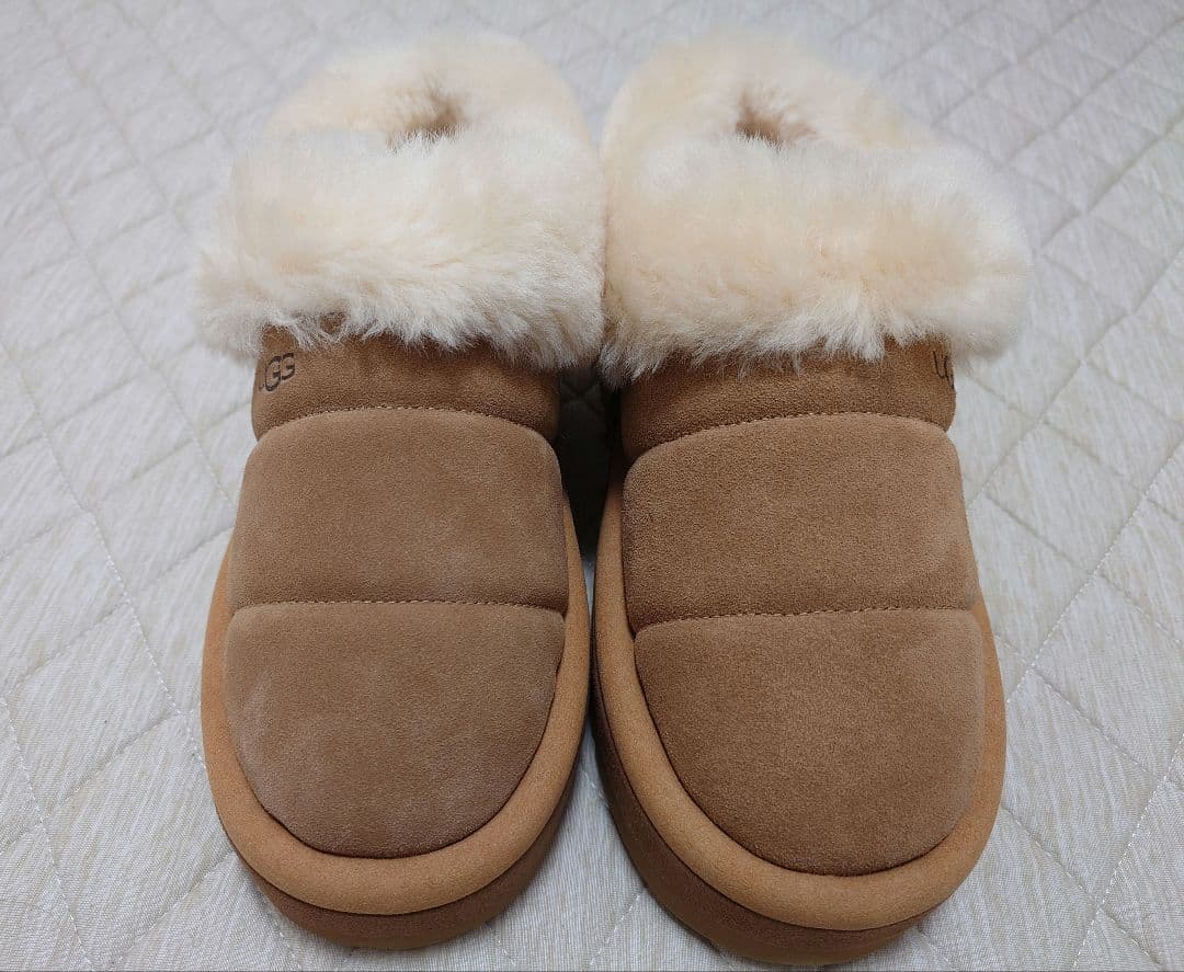 靴 UGG Tazzlita Chestnut 25.0