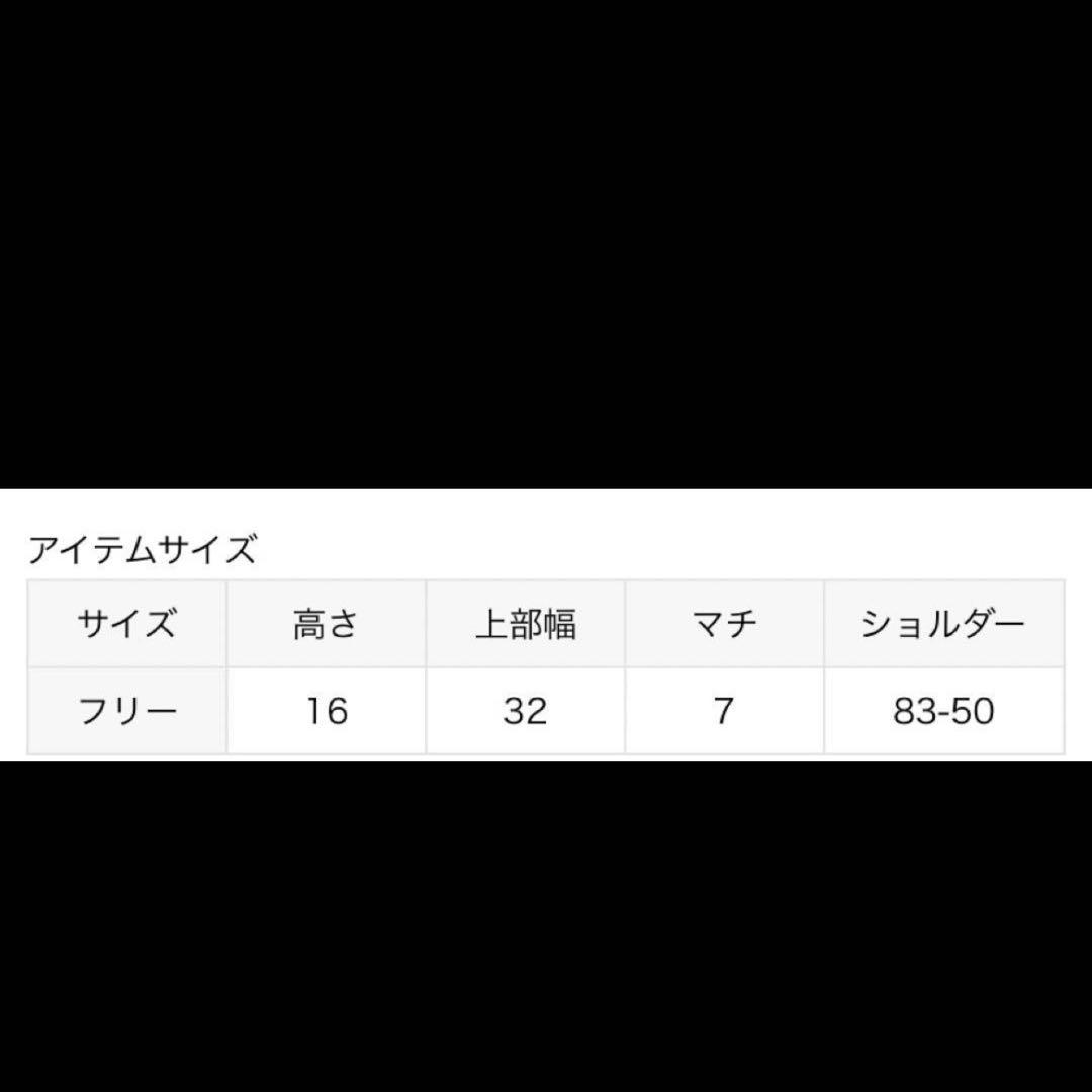 別注 LeSportsac✖️Journal Standardボディバッグ