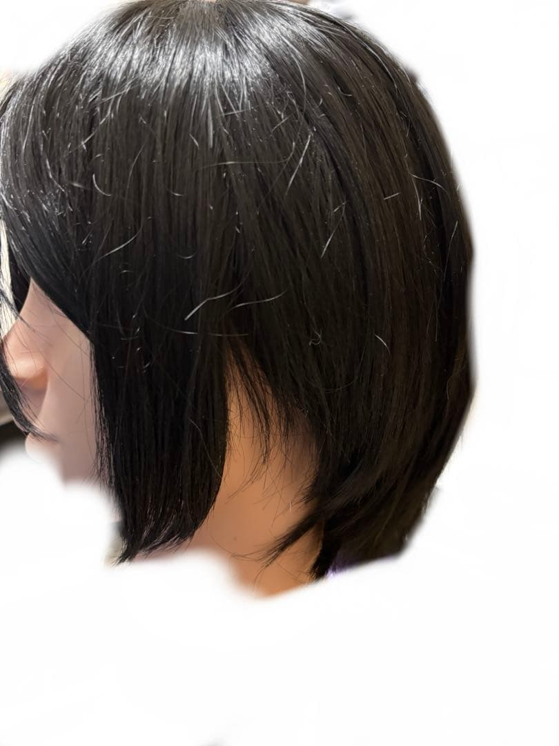 黒執事 セバスチャン コスプレ ウィッグ付き