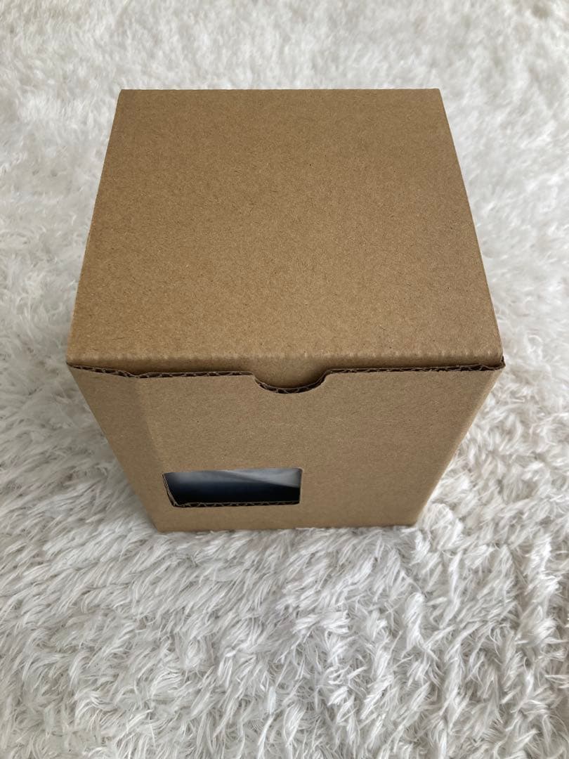 CASIO Stranger Things DW-5600STT-1JR 新品