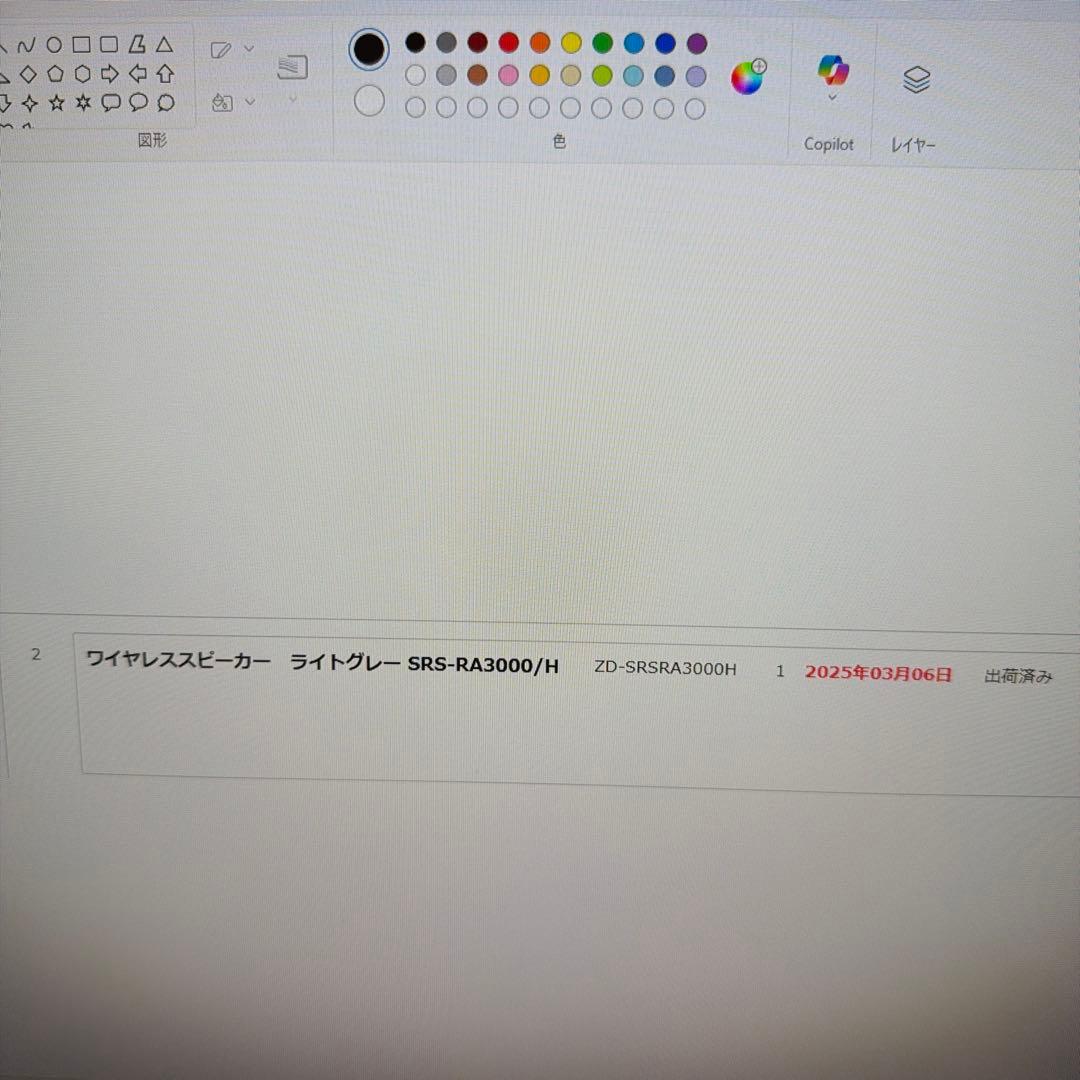 SONY SRS-RA3000 ライトグレー