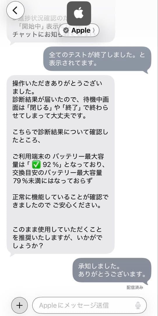 Apple iPad mini第6世代 パープル うんち印字付き