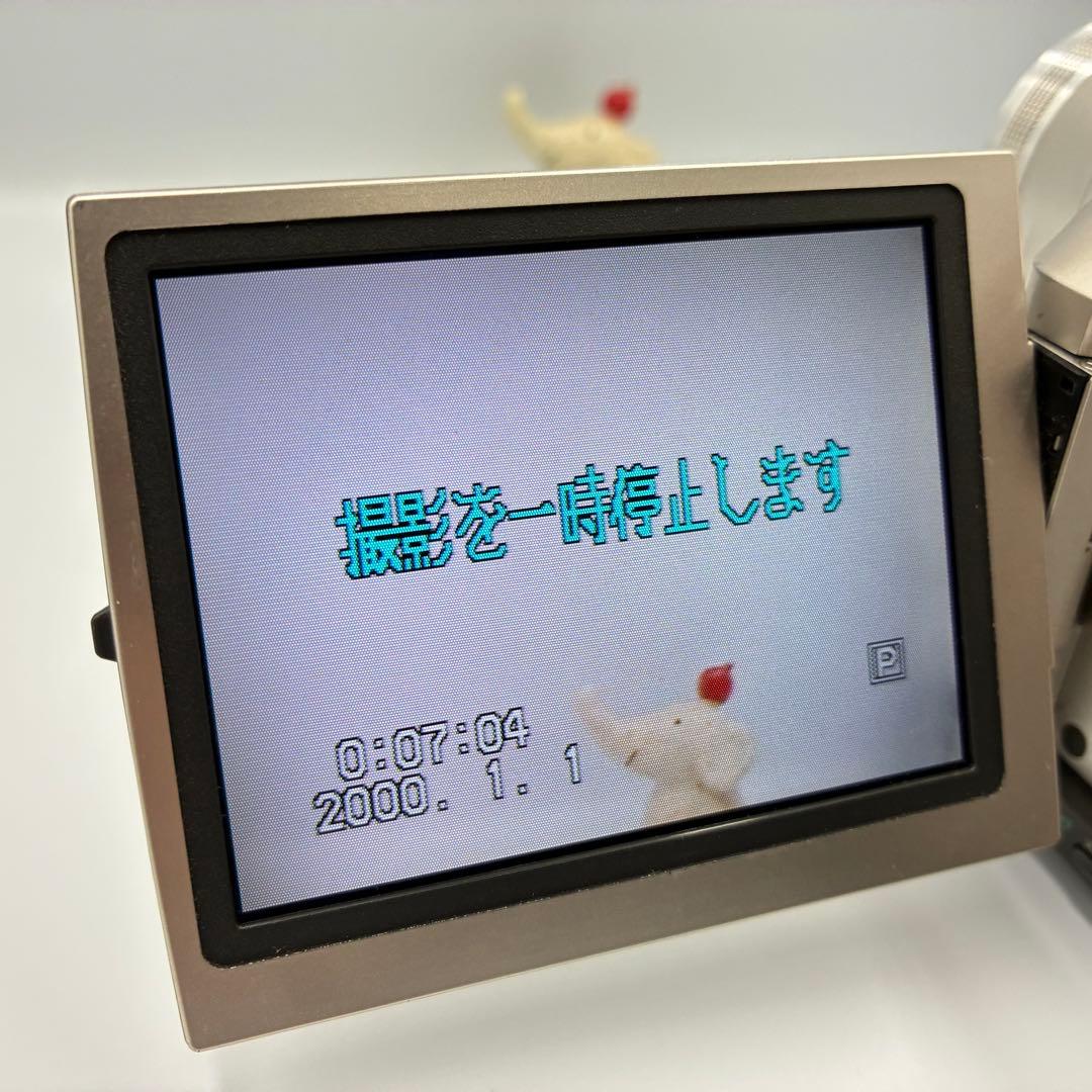 【動作確認済】Panasonic パナソニック NV-DS200 Mini DV