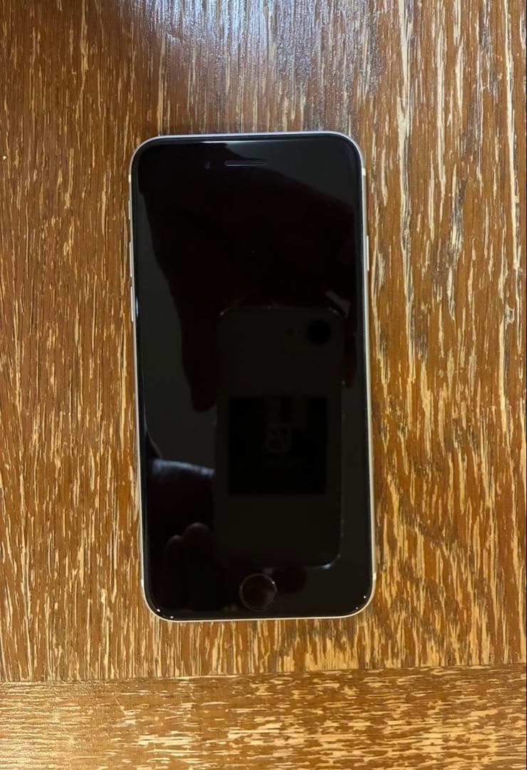 Apple iPhone SE（第二世代）シルバー 本体➕充電器の線2本