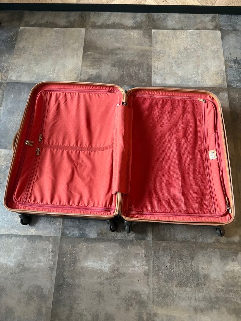 [デルセー] シャトレー 大型 容量110L 縦サイズ78cm 重量5.7kg